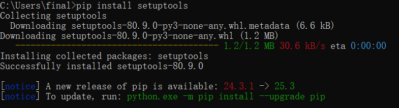 image-20251227004808046